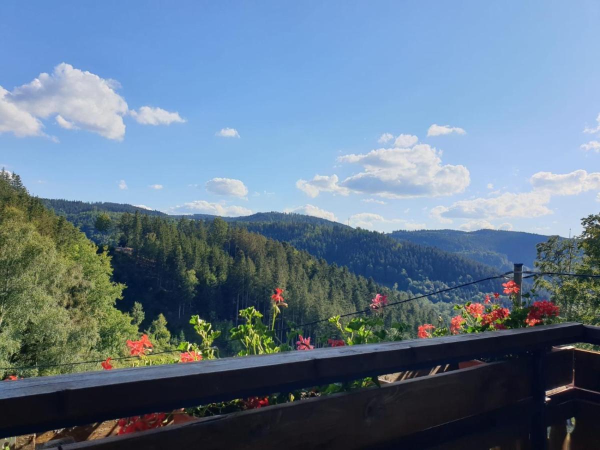 Landhaus Valentin Daire Triberg im Schwarzwald Dış mekan fotoğraf