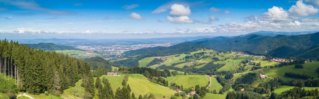 Landhaus Valentin Daire Triberg im Schwarzwald Dış mekan fotoğraf