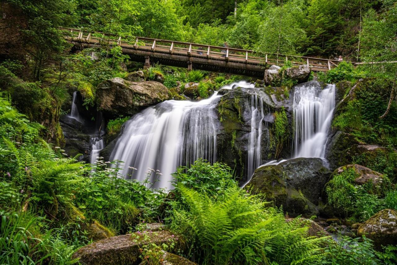 Landhaus Valentin Daire Triberg im Schwarzwald Dış mekan fotoğraf