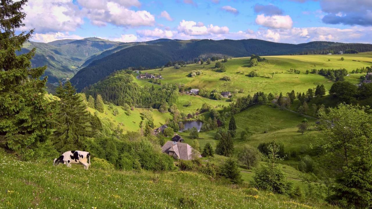 Landhaus Valentin Daire Triberg im Schwarzwald Dış mekan fotoğraf