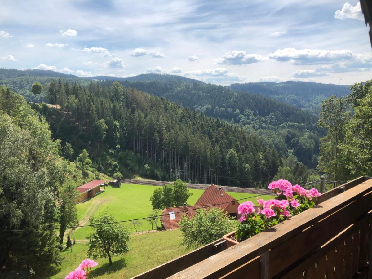 Landhaus Valentin Daire Triberg im Schwarzwald Dış mekan fotoğraf