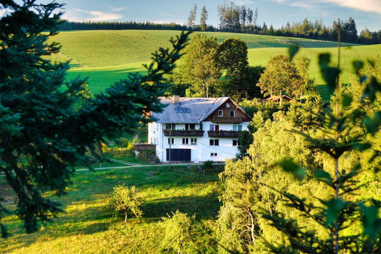 Landhaus Valentin Daire Triberg im Schwarzwald Dış mekan fotoğraf