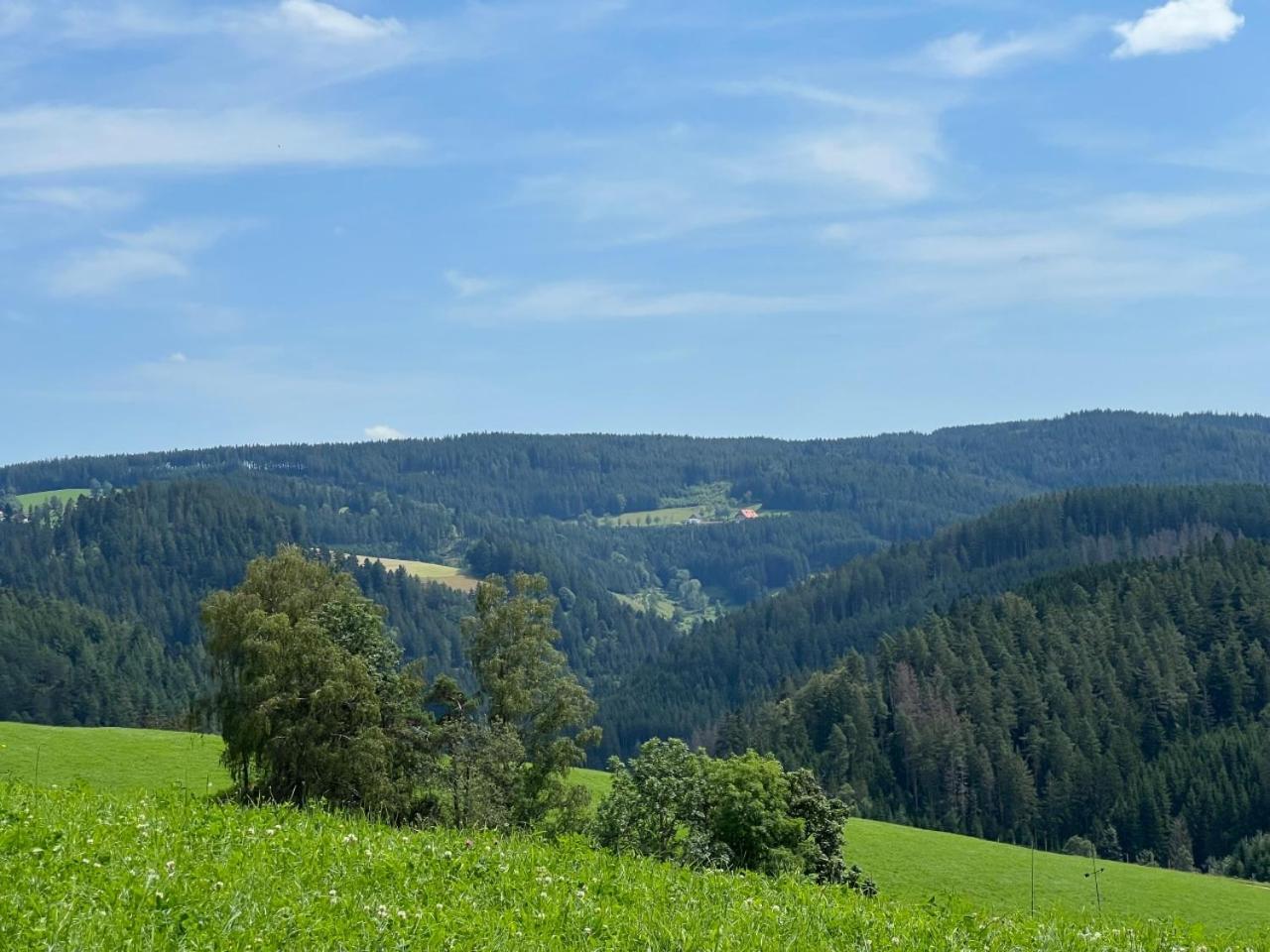 Landhaus Valentin Daire Triberg im Schwarzwald Dış mekan fotoğraf