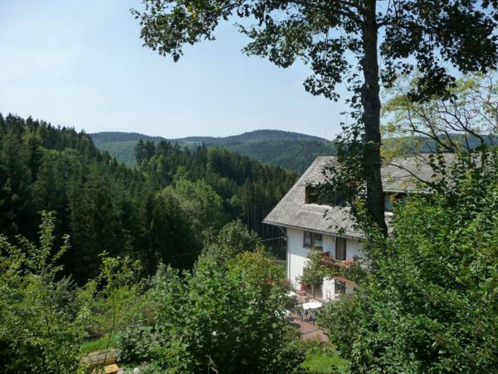 Landhaus Valentin Daire Triberg im Schwarzwald Dış mekan fotoğraf