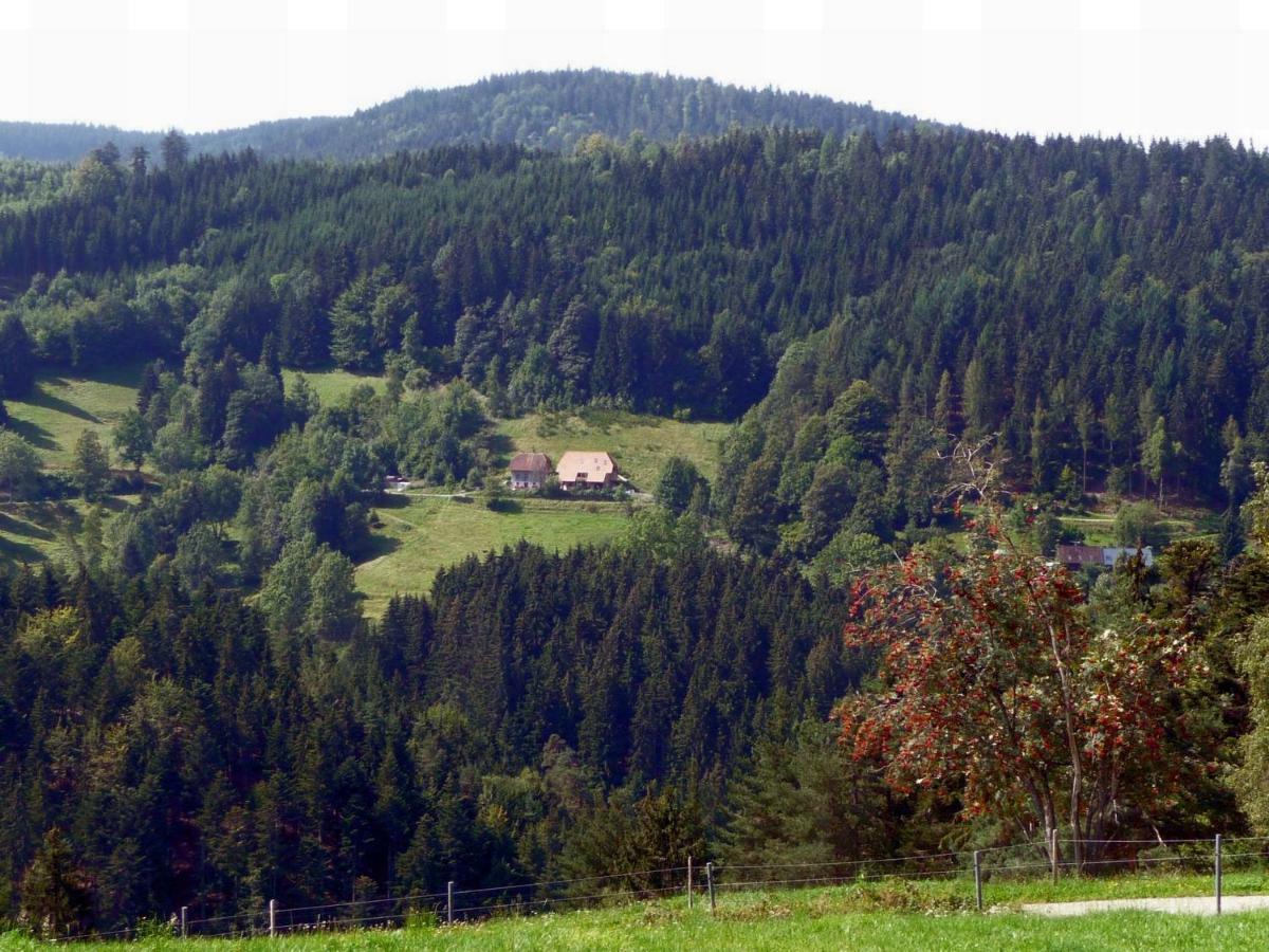 Landhaus Valentin Daire Triberg im Schwarzwald Dış mekan fotoğraf