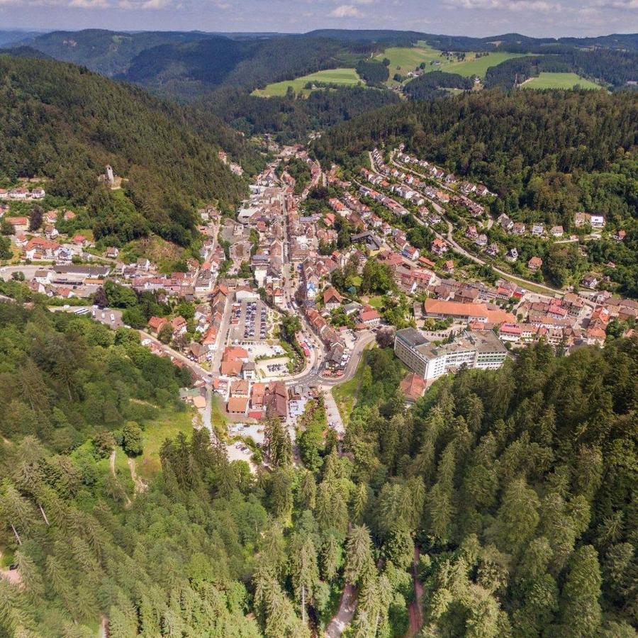 Landhaus Valentin Daire Triberg im Schwarzwald Dış mekan fotoğraf